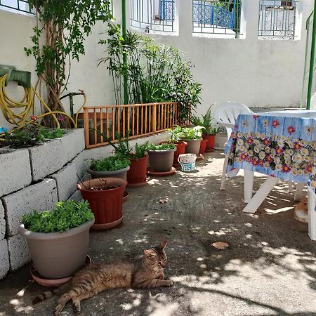 Trikeri Traditional Cozy House Exterior photo