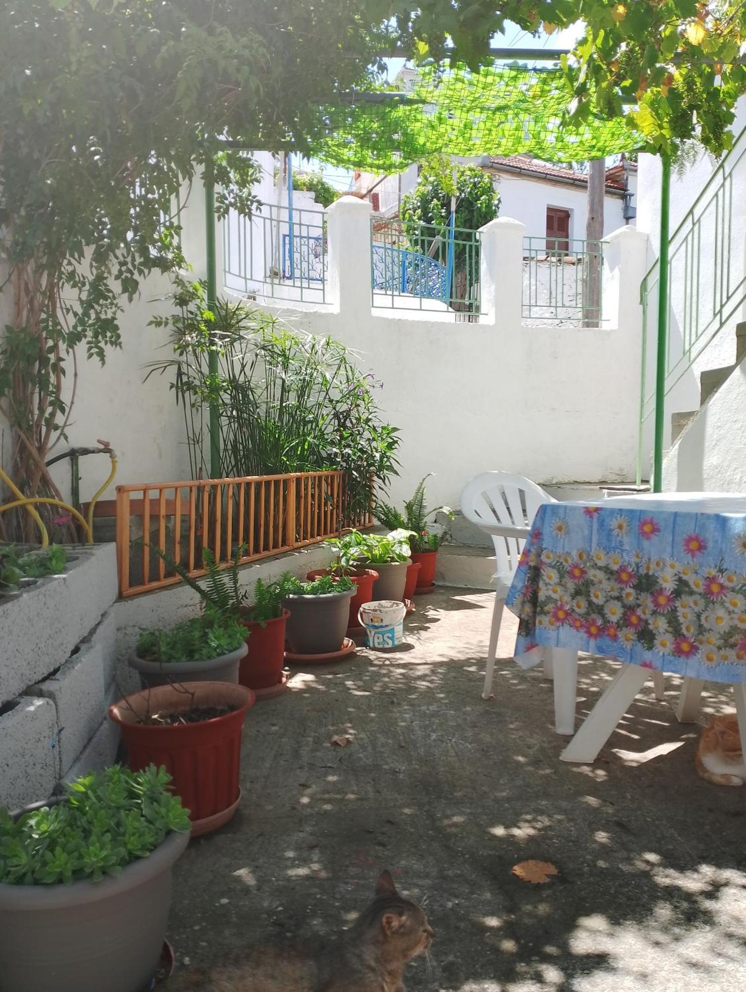 Trikeri Traditional Cozy House Exterior photo